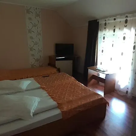 Pensiunea Tora Vatra Dornei