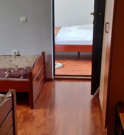 Pensionat Pensiunea Tora Vatra Dornei